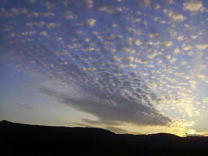 img2